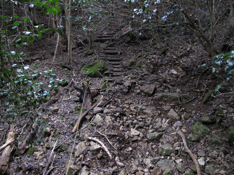 20140102hike (67)